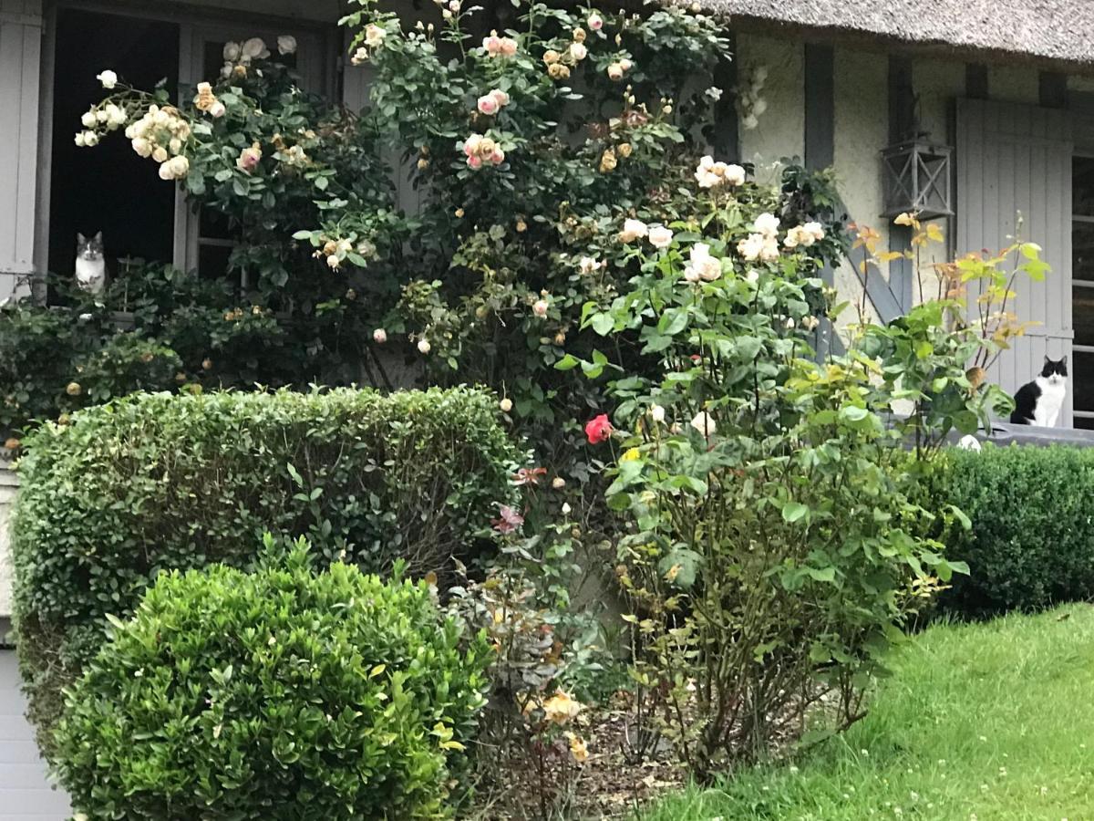 Les Chaumieres Du Pays D'Auge Bed and Breakfast Le Breuil-en-Auge Εξωτερικό φωτογραφία