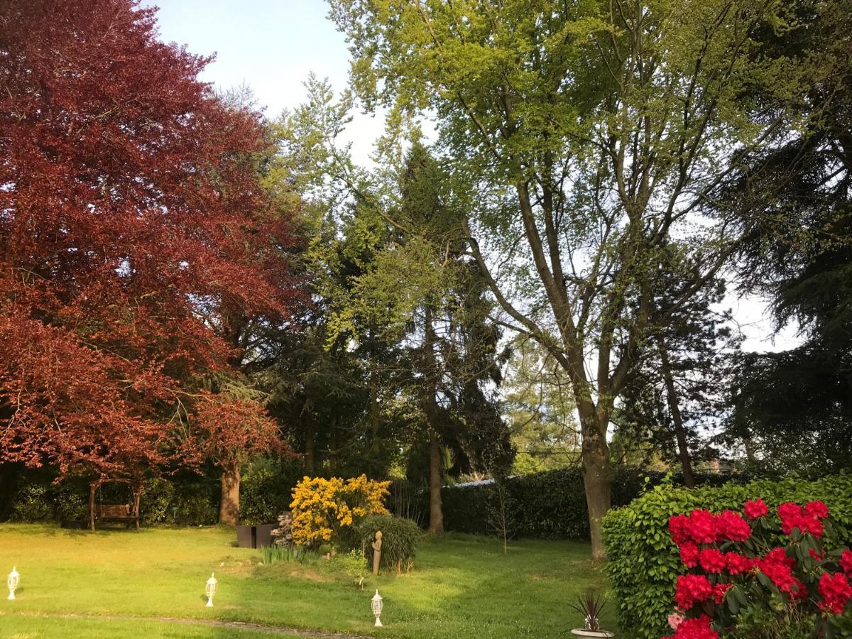 Les Chaumieres Du Pays D'Auge Bed and Breakfast Le Breuil-en-Auge Εξωτερικό φωτογραφία